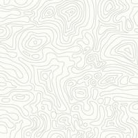 Topographic map on light brown background. vector
