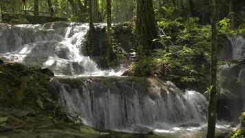 El agua dulce fluye rápidamente de la cascada bajo la luz del sol en el bosque tropical.
