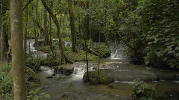 Water streams flows from the mountain in the rainforest. video