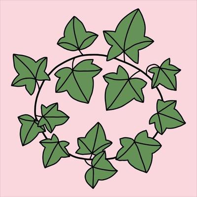 simplicity ivy freehand drawing flat design.