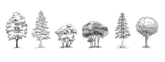 Forest park trees icons set, outline hand drawn style vector