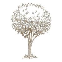 Botanical old tree icon, hand drawn and outline style vector