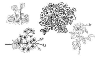 Set of graphics flowers vector