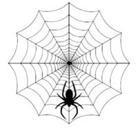 Spider Weaving Web Silhouette vector