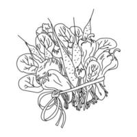 A bouquet of vegetables tied with a thin ribbon, roots and herbs in the composition, a contour sketch of the harvest vector