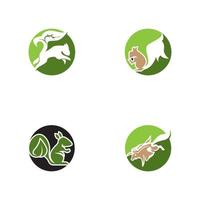 Squirrel icon and symbol vector illustration