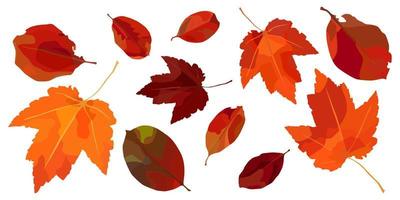 Vector set of autumn leaves. For autumn design, restaurant menu, desserts, invitation cards