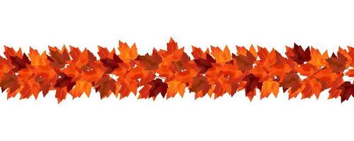 Border of autumn maple branches. Vector border for cozy autumn designs, cafes, menus, banner ad