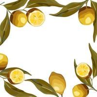 Lemon branches. For the lemonade label, summer design, fresh design. vector