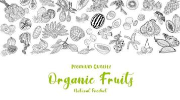 Fruit collection in flat hand drawn style, illustrations set. vector