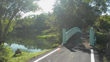 Woman in sportswear jogging on the path and crosses old concrete bridge over natural pond in the park. video