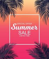 Summer Sale concept Background with Palm Leaves. Vector Illustration