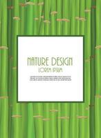 Colorful Stems and Bamboo Leaves Background. Vector Illustration