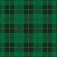 Buffalo Plaid Background vector