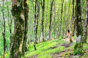 Female person in dress walks on path in beautiful forest in Sataplia nature reserve. photo
