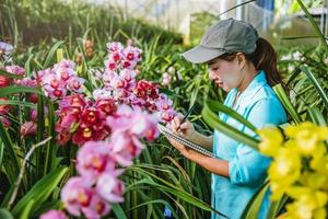 The girl notes the changes, orchid growth in the garden. Beautiful Orchid background in nature photo