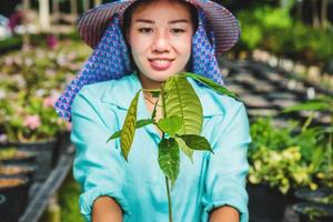 Greenhouse flower seedlings. The young woman's hand holding a flower tree plant in a pot on hand, agriculture gardening background. photo