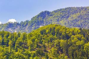 maravilloso paisaje de montaña y bosque con cielo nublado en Eslovenia. foto