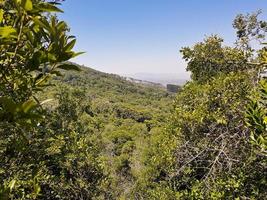 View from Table Mountain in Cape Town to Claremont. photo