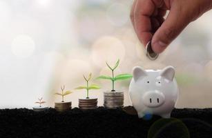 Hand putting coin on piggy bank. business finance and saving money investment , Money coin stack growing graph with piggy bank saving concept. plant growing up on coin. Balance savings and investment.