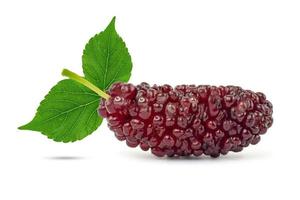 Close up of fresh mulberry fruits with green leaves isolated on white background with clipping path, Thai fruit. photo