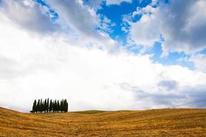 Tuscany before the storm photo