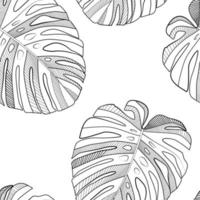 Abstract tropical monstera  leaf seamless pattern background. Vector Illustration