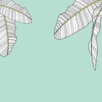 Palm Leaf Vector Background Illustration