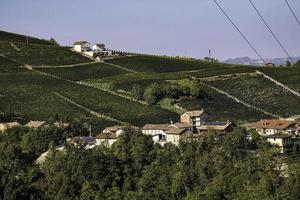 los viñedos de la langhe piamontesa en otoño en el momento de la vendimia foto