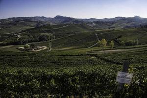 Landscapes of the Piedmontese Langhe with its vines in autumn, during the grape harvest photo