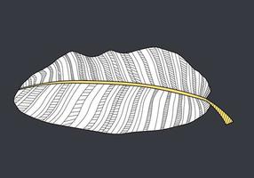 Abstract tropical banana palm leaf. Vector Illustration
