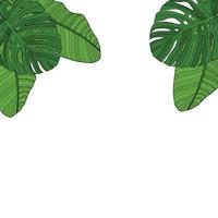 Palm Leaf Vector Background Illustration