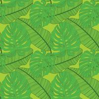 Abstract tropical palm  leaf seamless pattern background. Vector Illustration