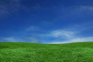Blue Sky and Green Grass Landscape photo