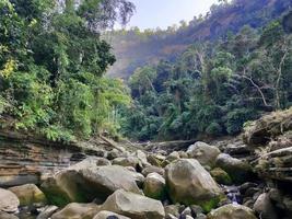 montaña llena de naturaleza foto