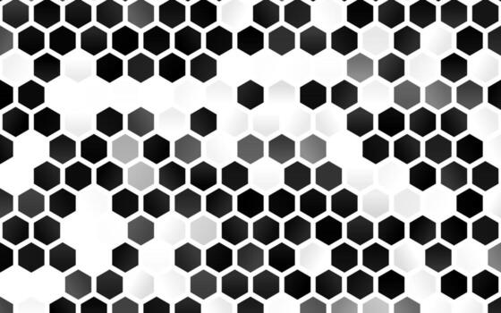 Light Silver, Gray vector pattern with colorful hexagons.