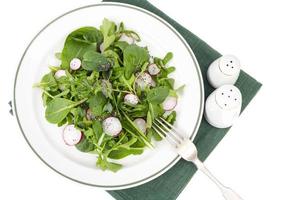 Spinach, arugula, radish and chia seeds. Photo