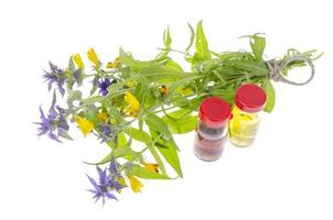 Wild medicinal field plants and tincture. Photo