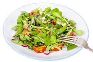 Salad of young leaves of beet, cherry, radish and pumpkin seeds. photo