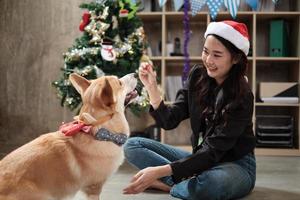 Una joven y bella trabajadora asiática con un sombrero rojo se burla de un perro con amor en una fiesta de la oficina de negocios, decorativa para celebrar el festival de Navidad y las vacaciones de año nuevo. foto