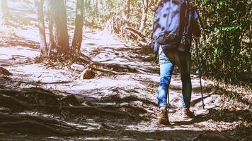 Asian man Traveling photograph Nature. travel relax in the holiday walk in the forest. travel relax in the holiday.  Thailand photo