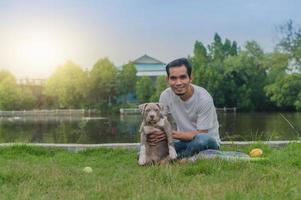 Pet lover man and American bully dog are playing photo