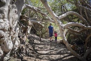 padre e hija caminando por un sendero en un humedal foto