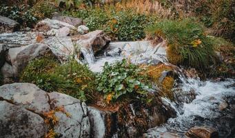otoño en las montañas de krasnaya polyana foto