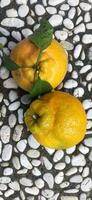 Photo of Seedless sweet orange from Japan