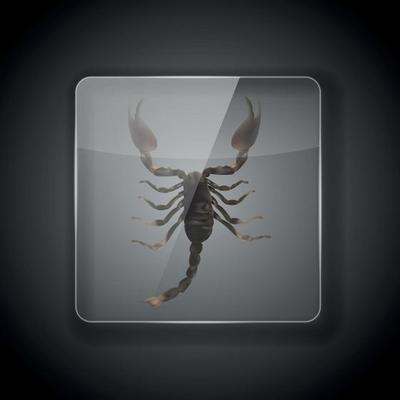 Glass Frame on dark Background with scorpion. Vector Illustration