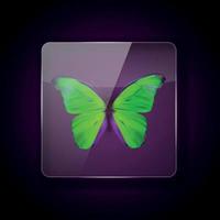 Glass Frame on dark Background with colorful green butterfly. Vector Illustration