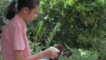Teen girl watering plants with a spray bottle at home. video