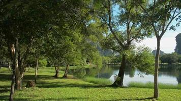 atravessando a estrada de asfalto através do gramado para um lago natural em um parque público. video