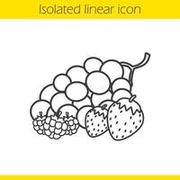 Berries linear icon. Strawberry, raspberry and grapes thin line illustration. Fruit contour symbol. Vector isolated outline drawing